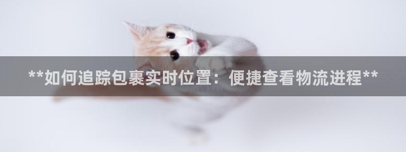 28圈哪个最赚钱：**如何追踪包裹实