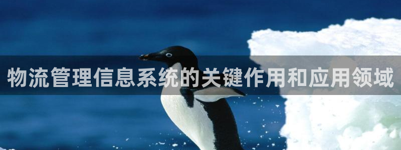 28圈怎么注册账号：物流管理信息系统