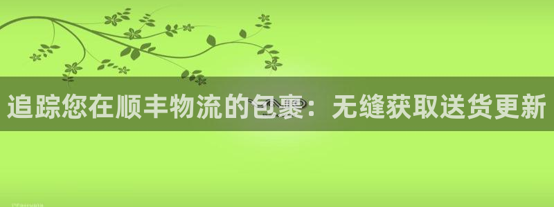 28圈注册：追踪您在顺丰物流的包裹：