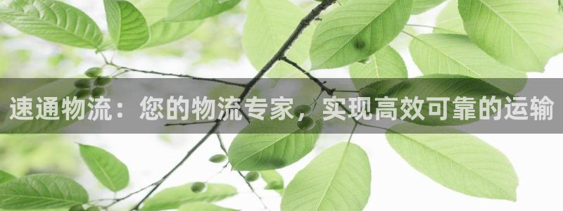 28圈是干嘛的