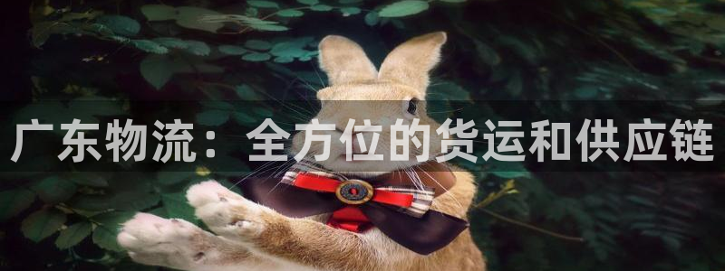 pc28圈怎么注册：广东物流：全方位