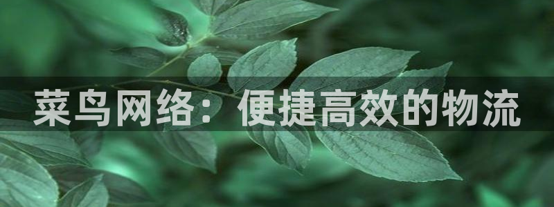 28圈登录不上咋回事：菜鸟网络：便捷