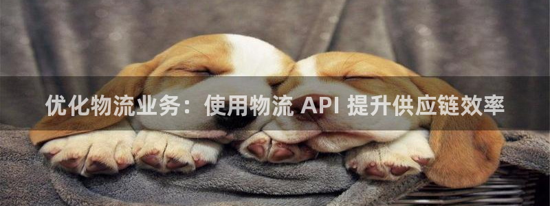 28圈女王中奖记录查询：优化物流业务