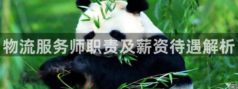 28圈选28ng官网：物流服务师职责