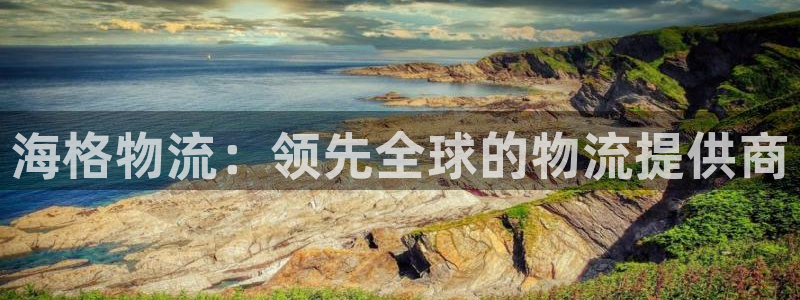 28圈免费充钱：海格物流：领先全球的