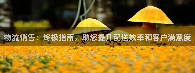 28圈官网链接：物流销售：终极指南，