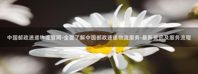 28圈.ccm官网：中国邮政速递物流