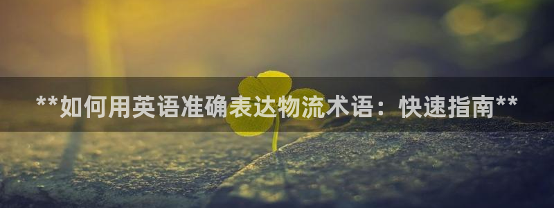 28圈登录网：**如何用英语准确表达
