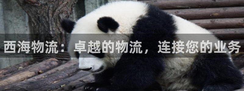 28圈注册地址：西海物流：卓越的物流