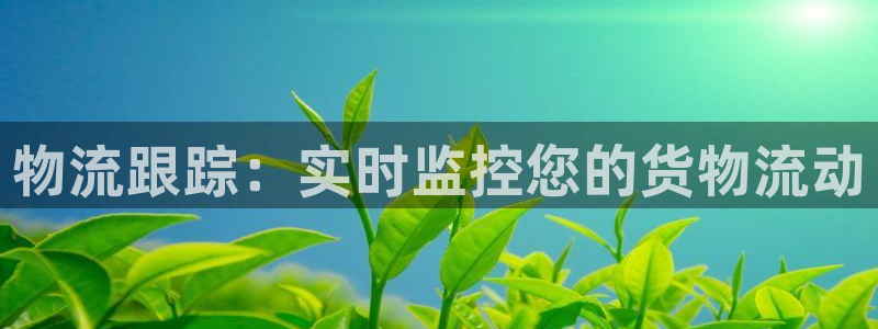28圈可以退款吗：物流跟踪：实时监控