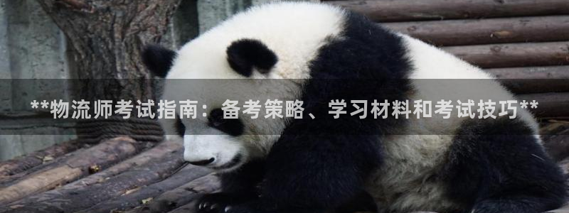 28圈p图上分下款通道：**物流师考