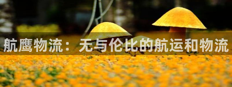 28圈链接