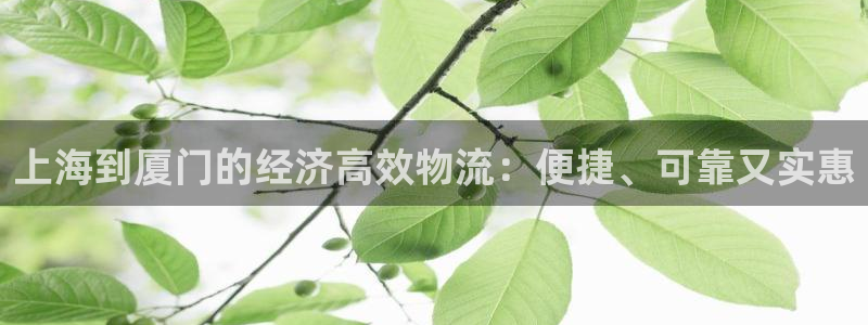 28圈新用户怎么注册：上海到厦门的经