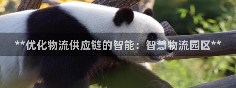 28圈的自行车：**优化物流供应链的