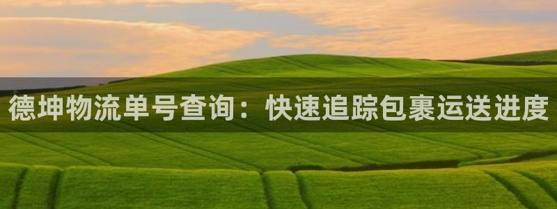 28圈下分了不给钱：德坤物流单号查询
