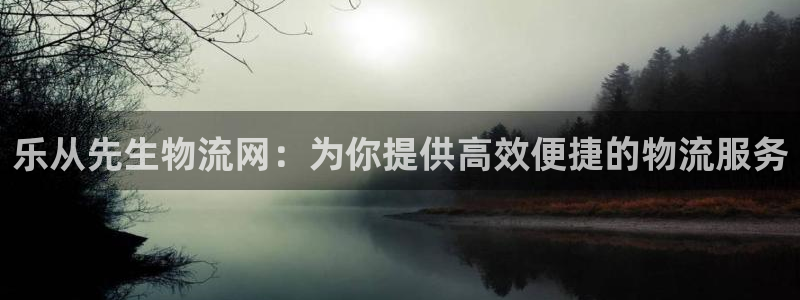 28圈官网多少：乐从先生物流网：为你