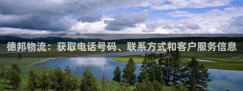 28圈龙虎：德邦物流：获取电话号码、