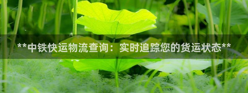 28圈怎么下载不了