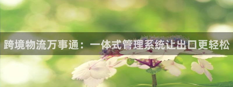 28圈模拟器在线玩
