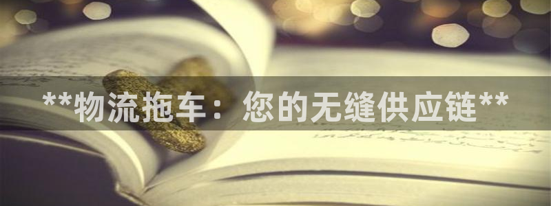28圈登录流程：**物流拖车：您的无