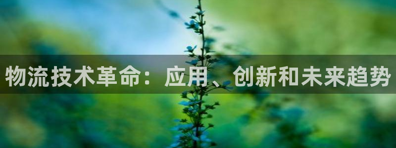 28圈官网平台下载：物流技术革命：应