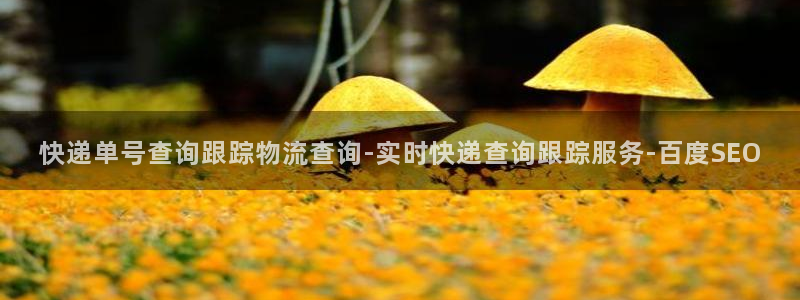 28圈模拟器在线使用：快递单号查询跟