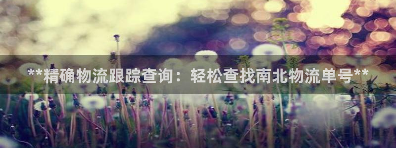 28圈游戏最新版：**精确物流跟踪查