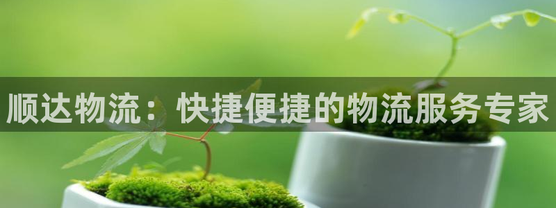 28圈旗下