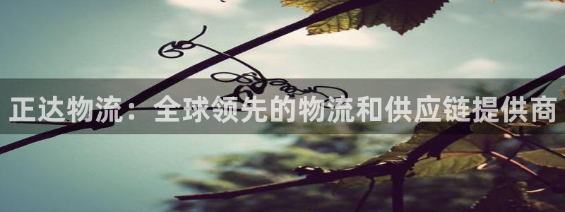 28圈注册登录：正达物流：全球领先的