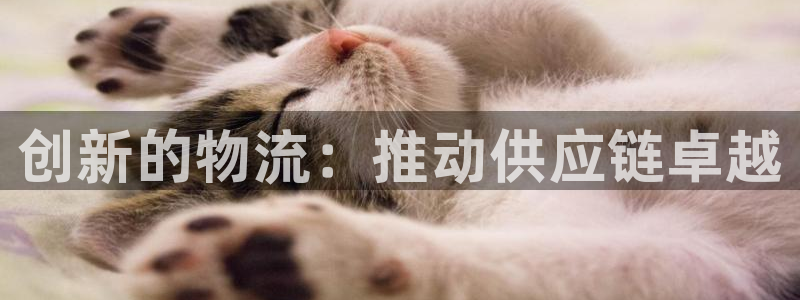 自行车28圈是什么意思
