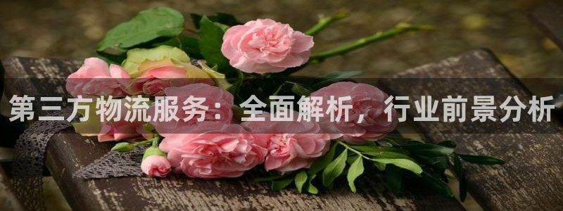 28圈链接：第三方物流服务：全面解析