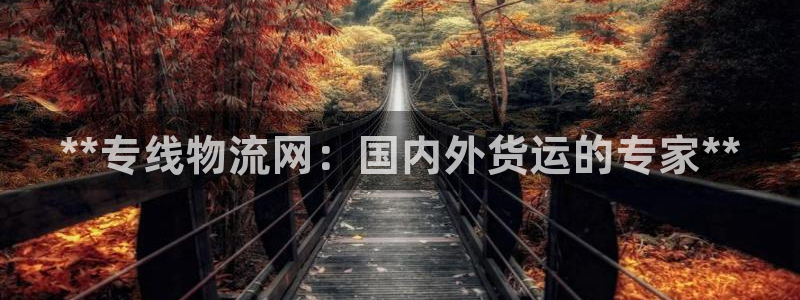 自行车28圈是什么意思：**专线物流