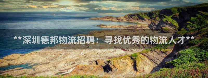 28圈游戏官网平台：**深圳德邦物流