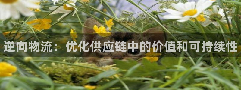 28圈赌博软件正规吗：逆向物流：优化