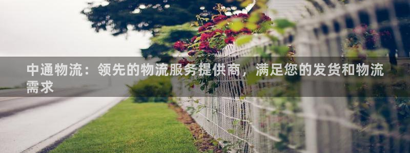 28圈旗下：中通物流：领先的物流服务
