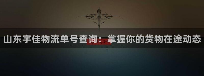 28圈注册网页：山东宇佳物流单号查询