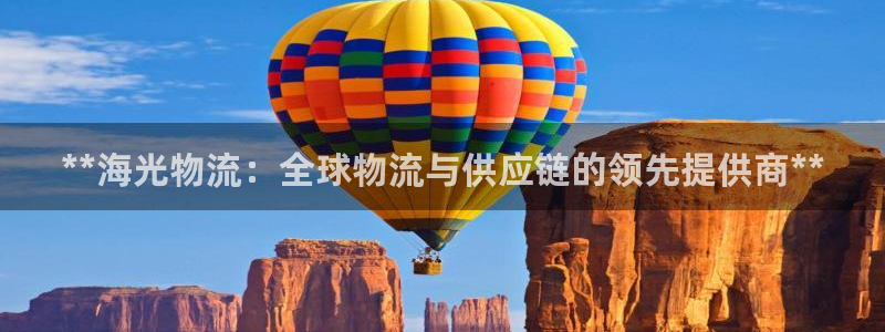 28圈电子游戏