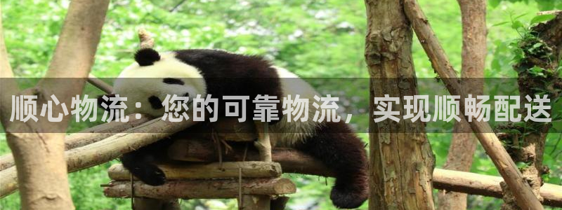 28圈正规吗?：顺心物流：您的可靠物