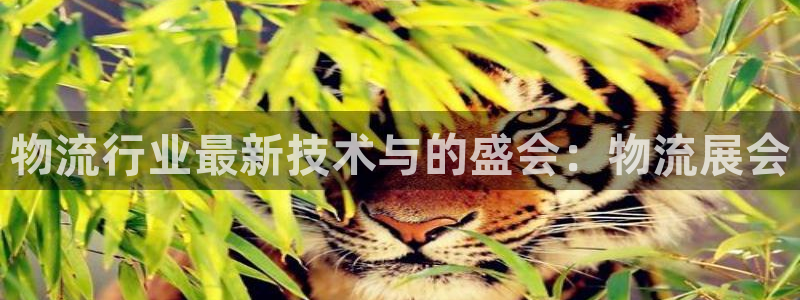 28圈充值金额随便：物流行业最新技术