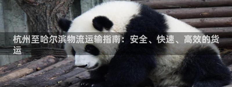 28圈防失联网址：杭州至哈尔滨物流运