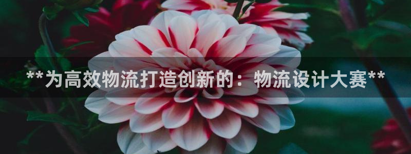 28圈人头费：**为高效物流打造创新