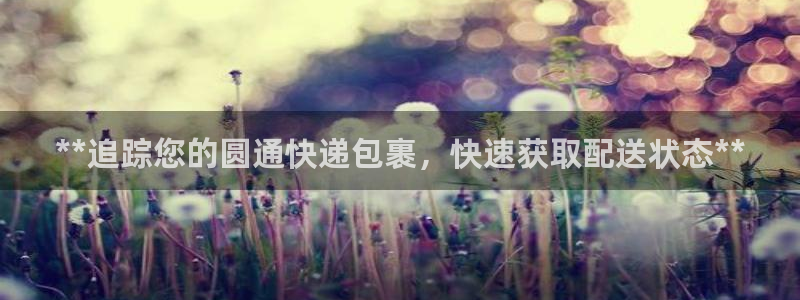 28圈登录不上咋回事：**追踪您的圆