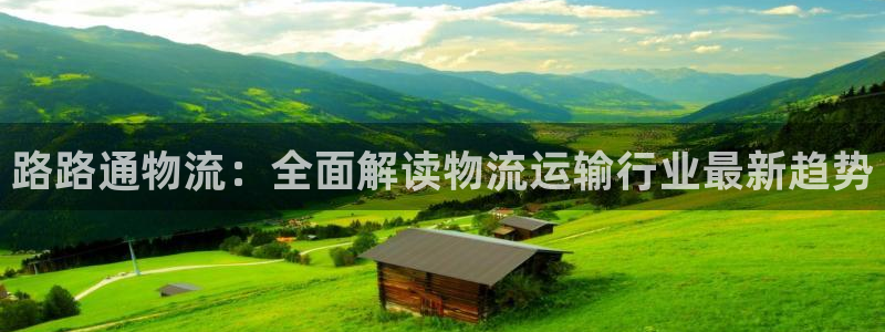 南宫28圈官网版：路路通物流：全面解