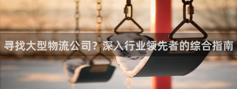 28圈下载二维码怎么弄：寻找大型物流