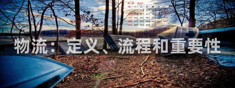 28圈预测加拿大：物流：定义、流程和