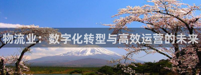 28圈充值金额随便：物流业：数字化转