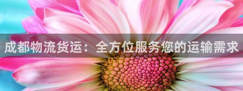 28圈注册步骤：成都物流货运：全方位