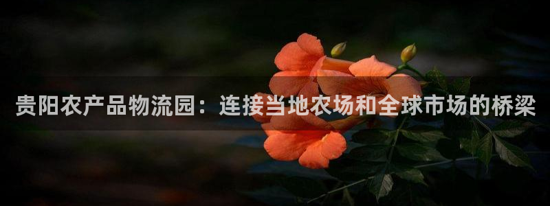 28圈注册链接入口：贵阳农产品物流园