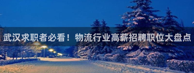 28圈.ccmpcios：武汉求职者