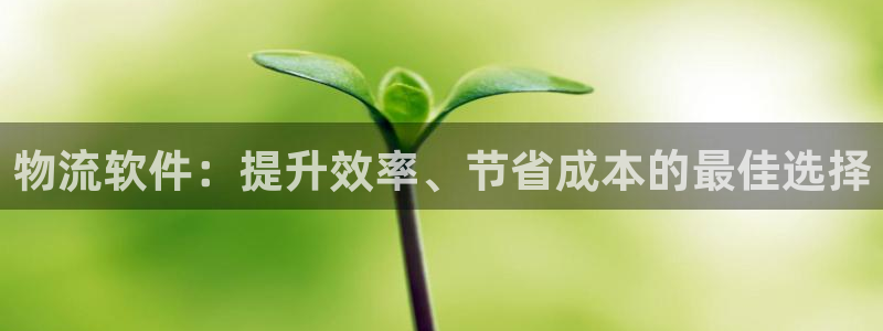 28圈比特28预测在线预测：物流软件